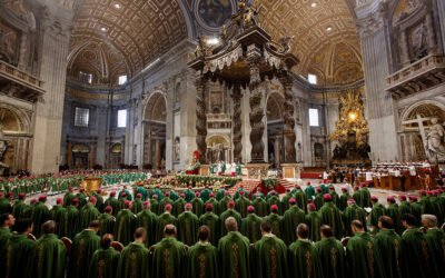 Letter to Those who Have Influence in the Selection Process for who is Nominated and Approved for the 2023 Synod in Rome and Beyond