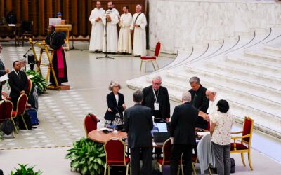There’s the synod. And then there’s the dream of synodality.