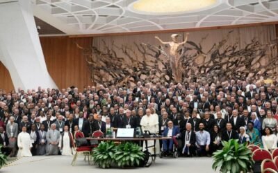 Fifteen hidden gems in the Synod on Synodality
