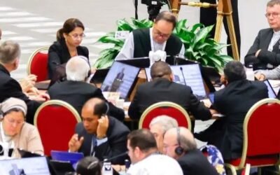 Let’s Begin the New Year by Joining in a Synod