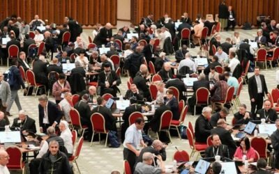 Becoming a Synodal Church