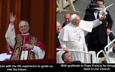 After Synod 2023 – before Synod 2024